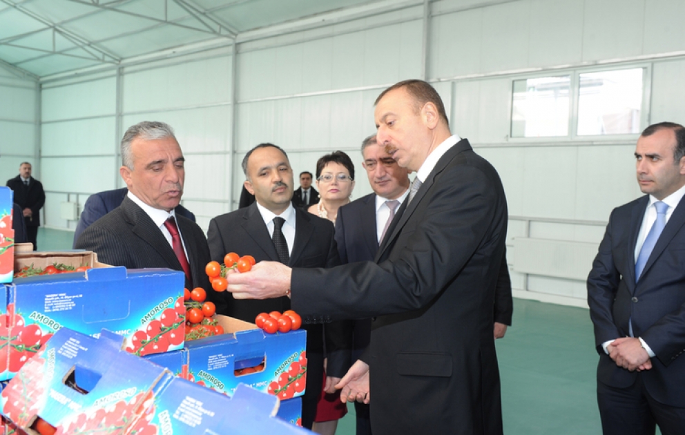 Azerbaijani President opens cold-storage warehouse and greenhouse complexes in Masalli