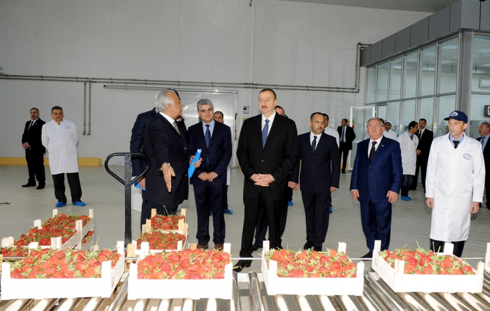 President Ilham Aliyev inaugurates Gazakh Canning Factory of Azersun -Holding Ltd