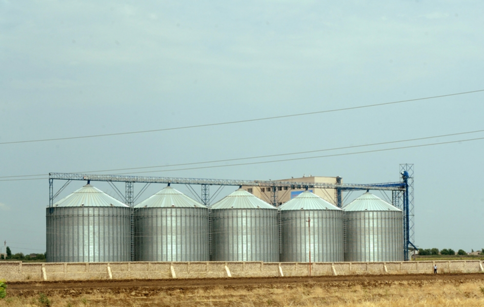 L’usine de farine de la SARL «Avangard» est mise en service à Djalilabad