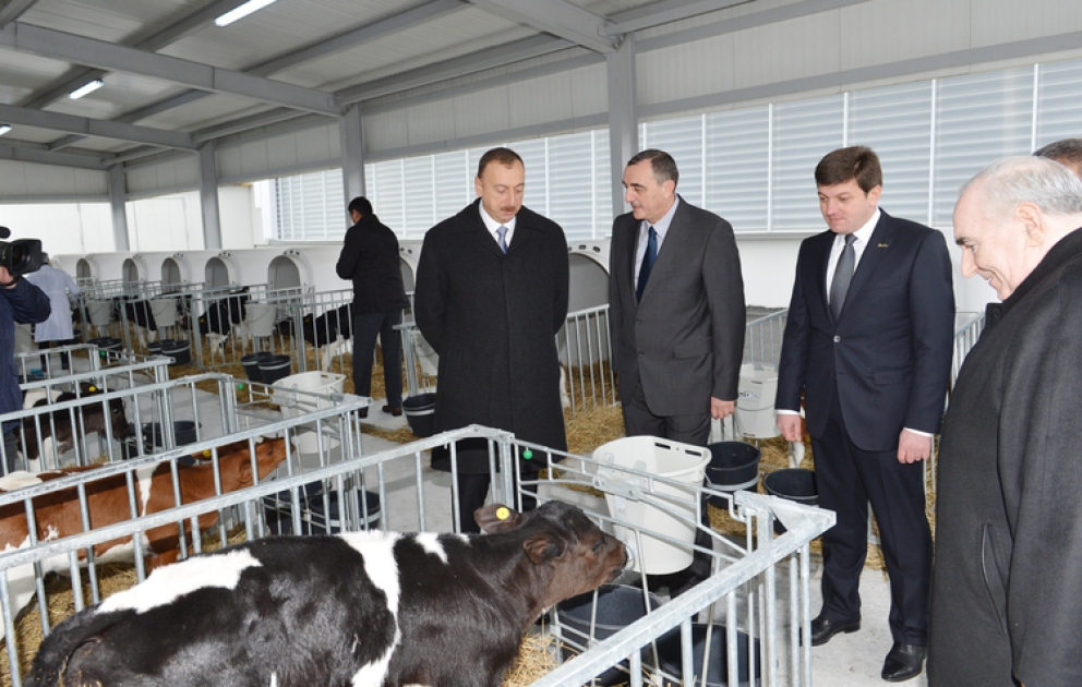 Le président azerbaïdjanais Ilham Aliyev a participé à l’ouverture du Complexe d’élevage laitier à Gabala