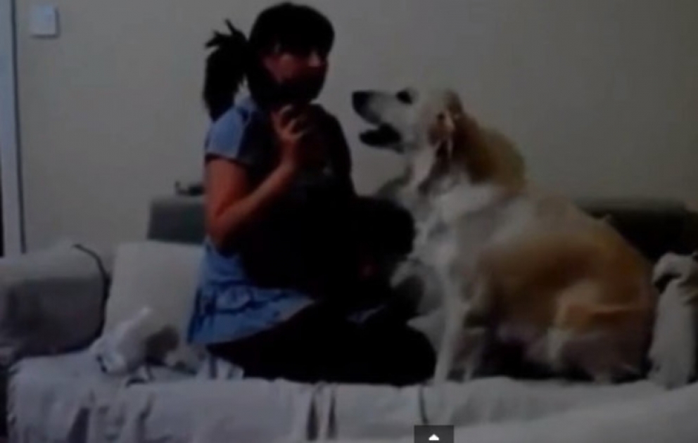 Bu video sosial şəbəkələrdə ən çox izlənən videolardandır