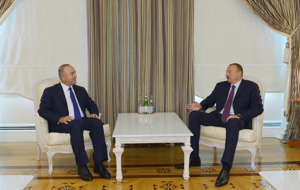 President Ilham Aliyev received the Minister for European Union Affairs of Turkey