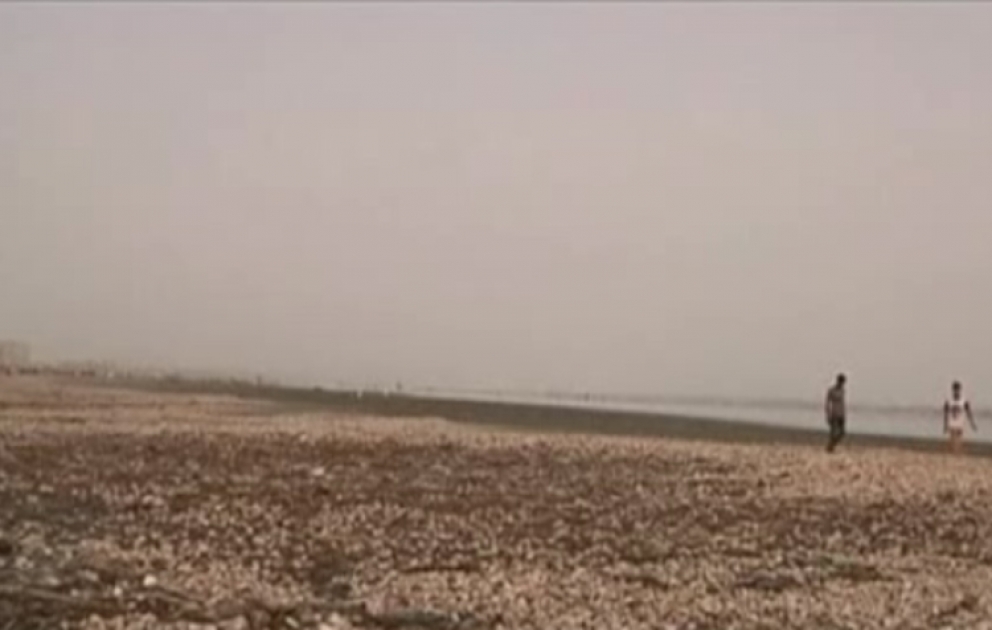 Pakistanın Karaçı şəhərinin çimərlikləri balıqqulağı ilə dolub