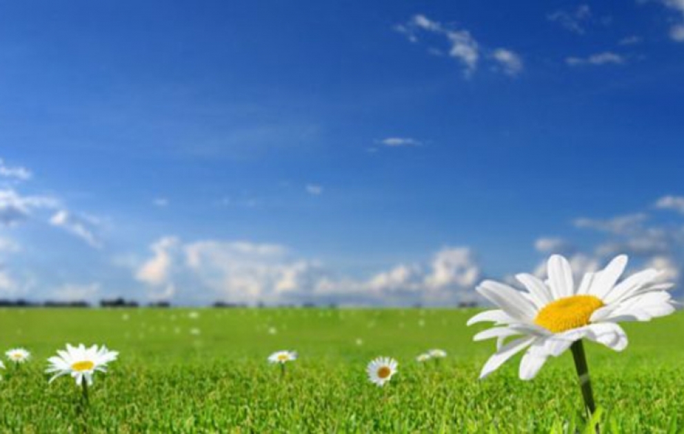 Ölkəmizin bəzi yerlərində temperatur 39 dərəcəyə çatacaq