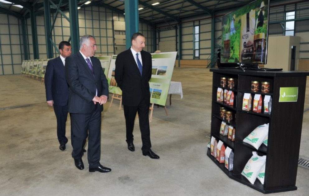 President Ilham Aliyev reviewed a tea processing factory of Astarachay LLC