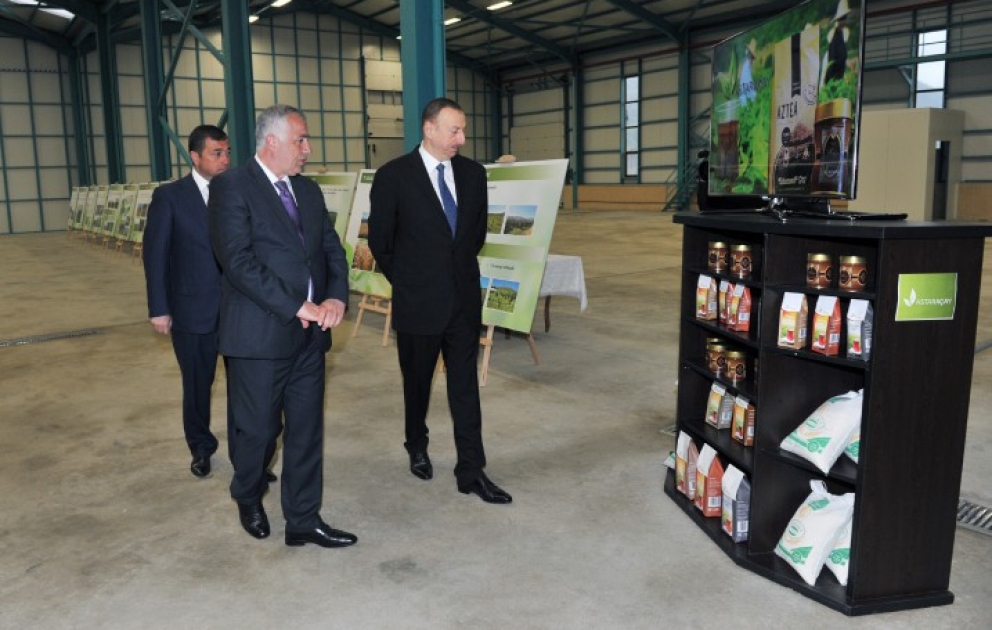 Le président Ilham Aliyev a visité la fabrique de thé « Astaraçay »