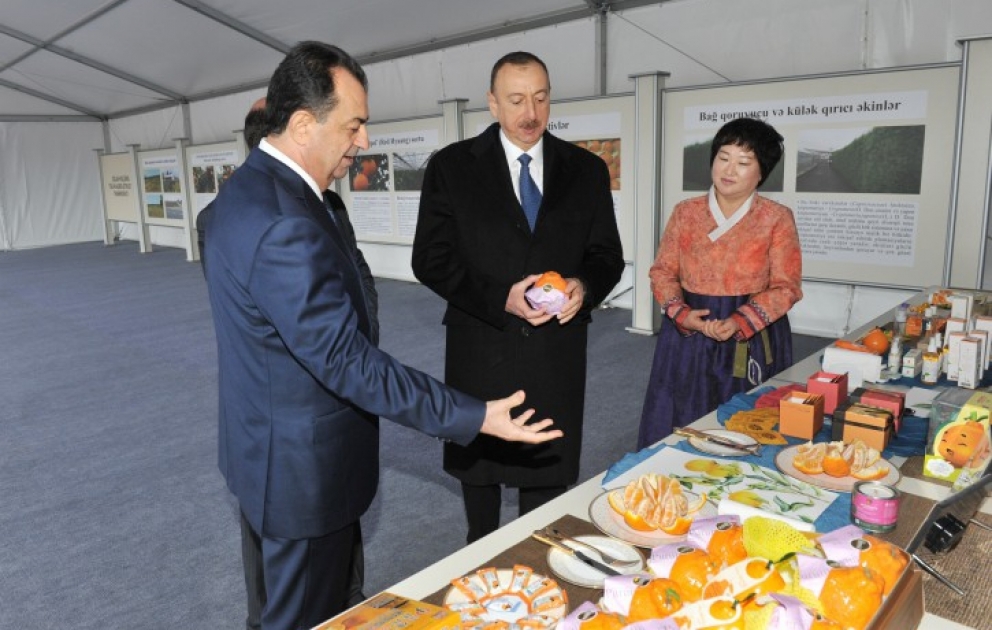 Visite du jardin d’agrumes «Gilan agro-agrumes» à Lenkeran