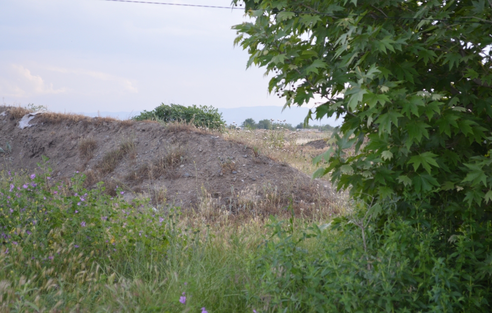Armenians violated ceasefire with Azerbaijan 36 times throughout the day