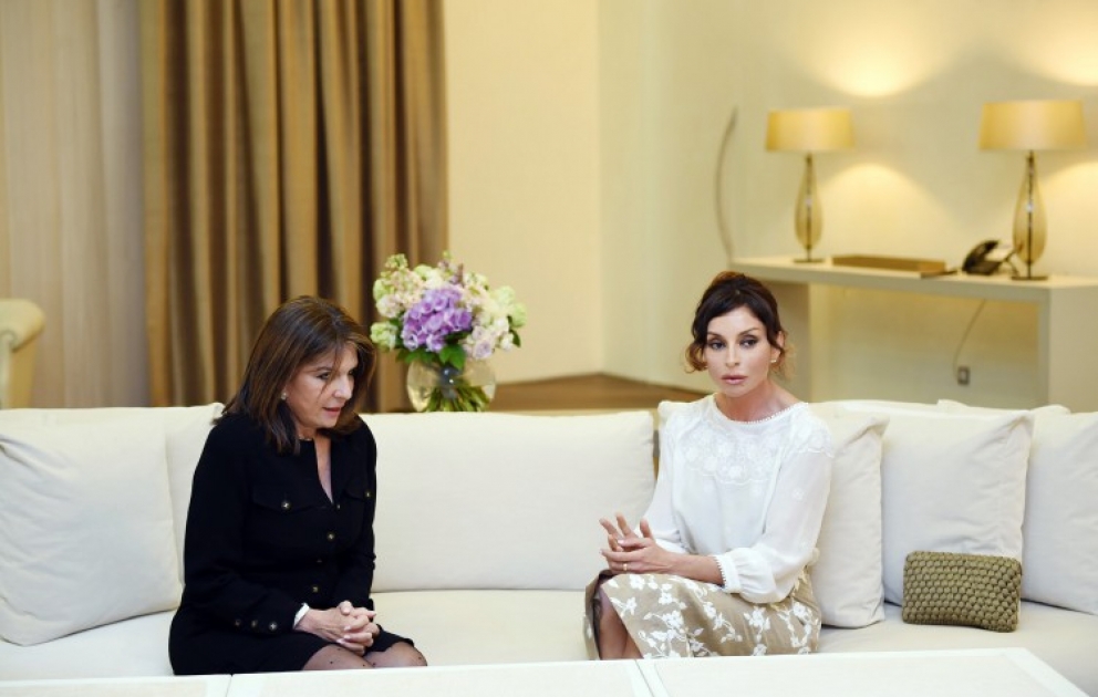 Treffen der Präsidentin der Heydar Aliyev-Stiftung Mehriban Aliyeva mit einem Mitglied des französischem Senats