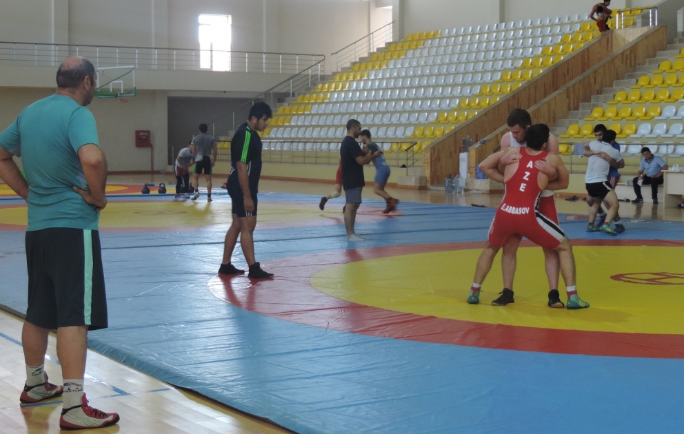 Yunan-Roma güləşi üzrə gənclər arasında Avropa çempionatında 8 pəhləvanımız mübarizə aparacaq