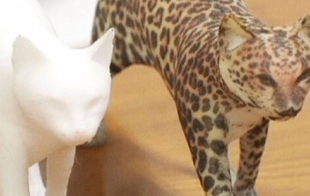 New hydrographic printing adds precise colour to 3D objects