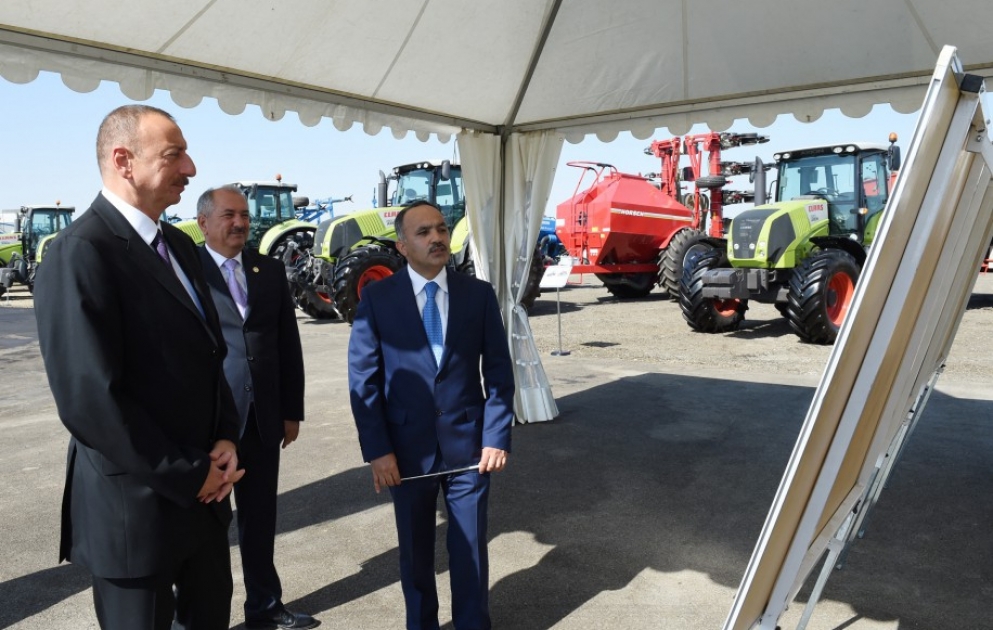 Prezident İlham Əliyev “Avanqard” MMC-nin Cəlilabad rayonundakı taxılçılıq təsərrüfatı ilə tanış olub