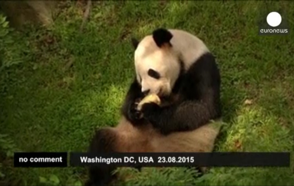 Bao Bao wird zwei Jahre alt