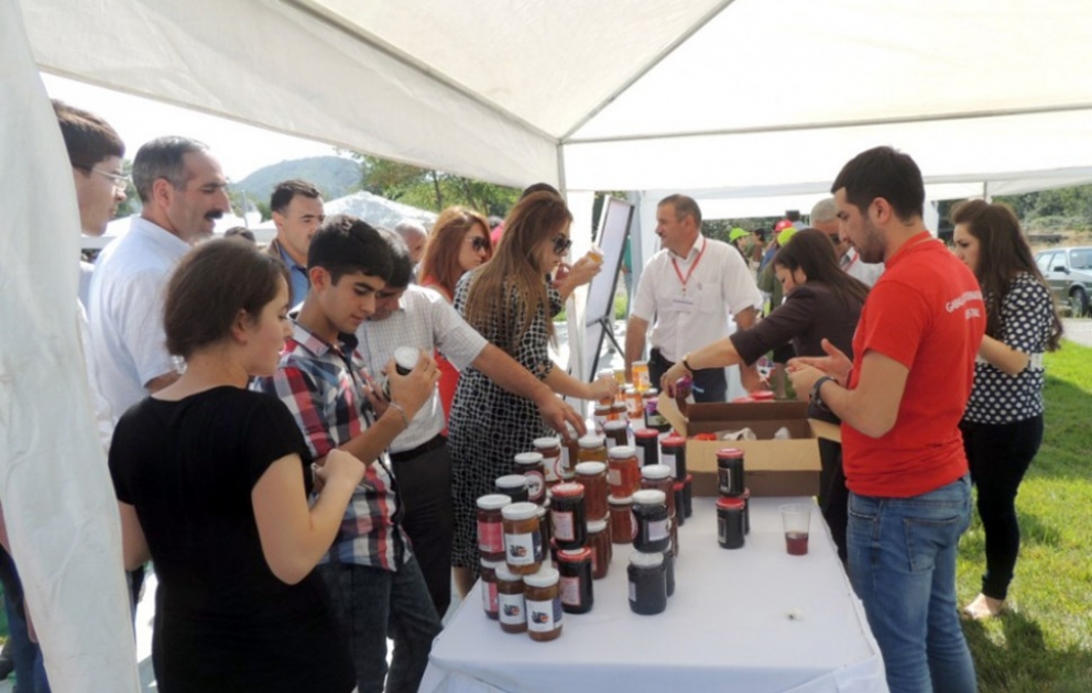 Qəbələ möhtəşəm mürəbbə festivalına ev sahibliyi edir