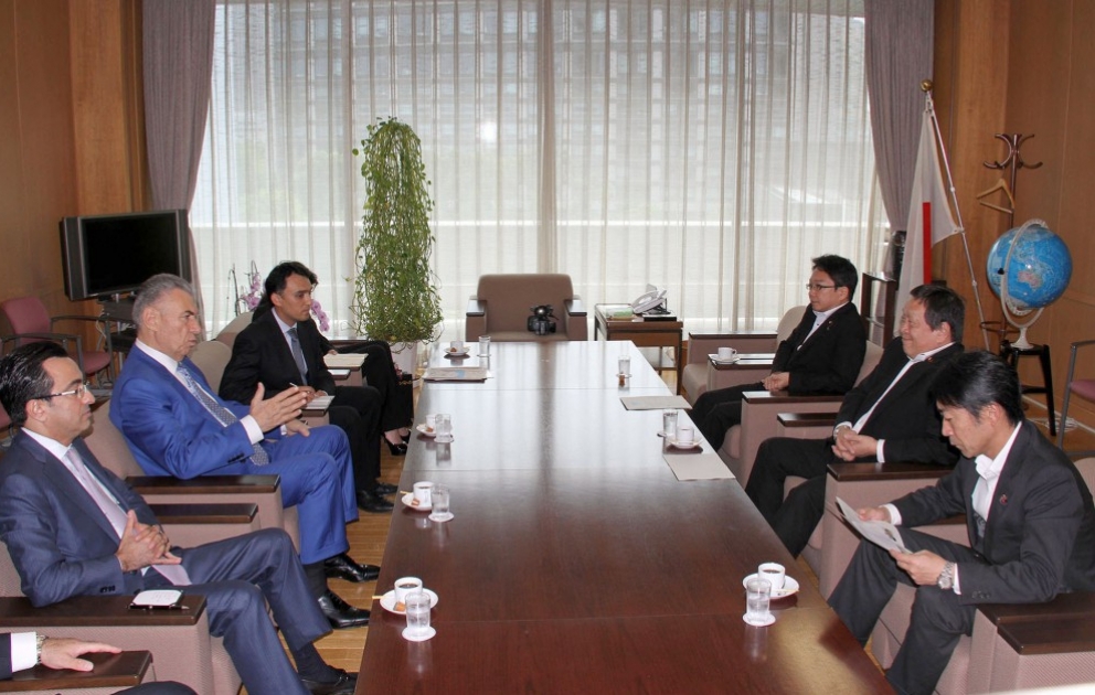 New Azerbaijan Party, Japanese Liberal Democratic Party