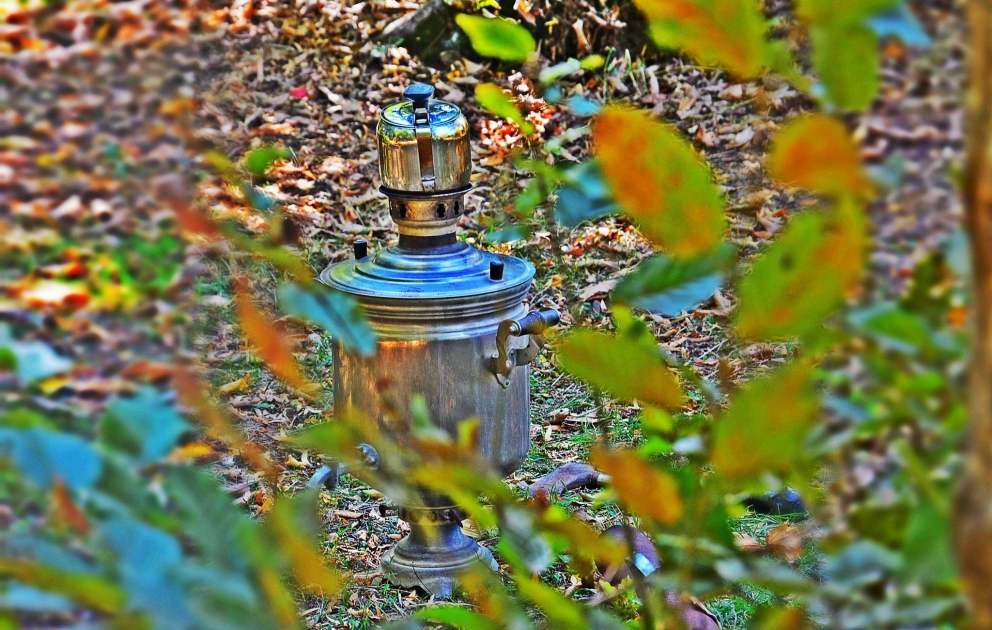 Qalaalti forest