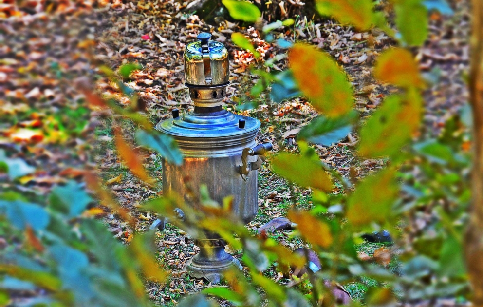 Wald "Galaalti"