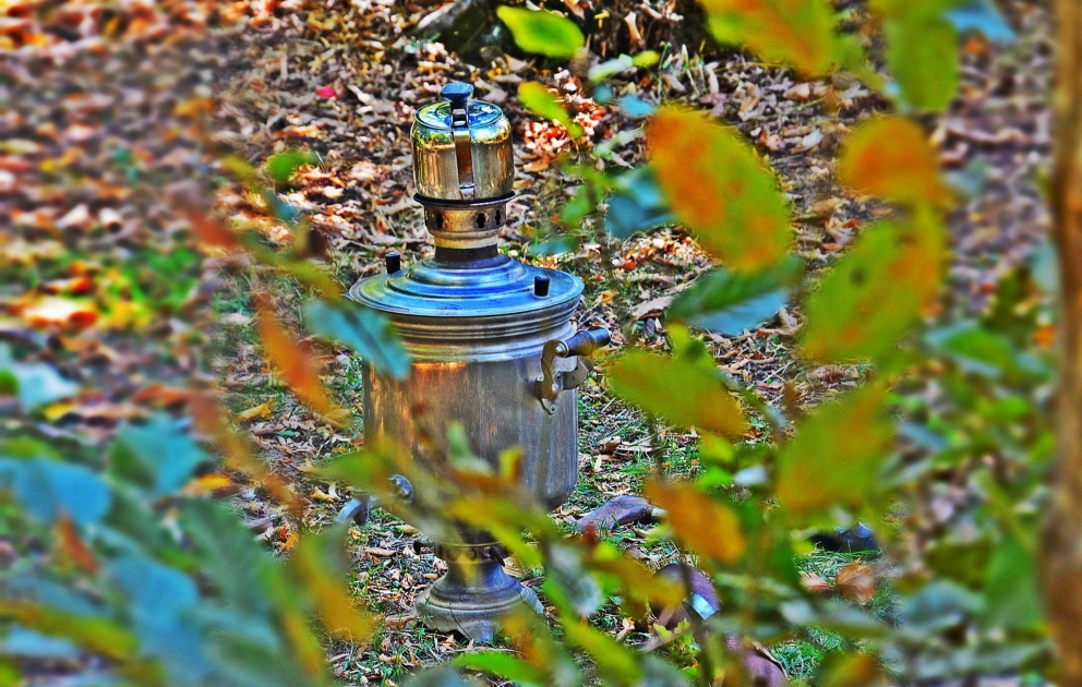 La forêt de Galaalty