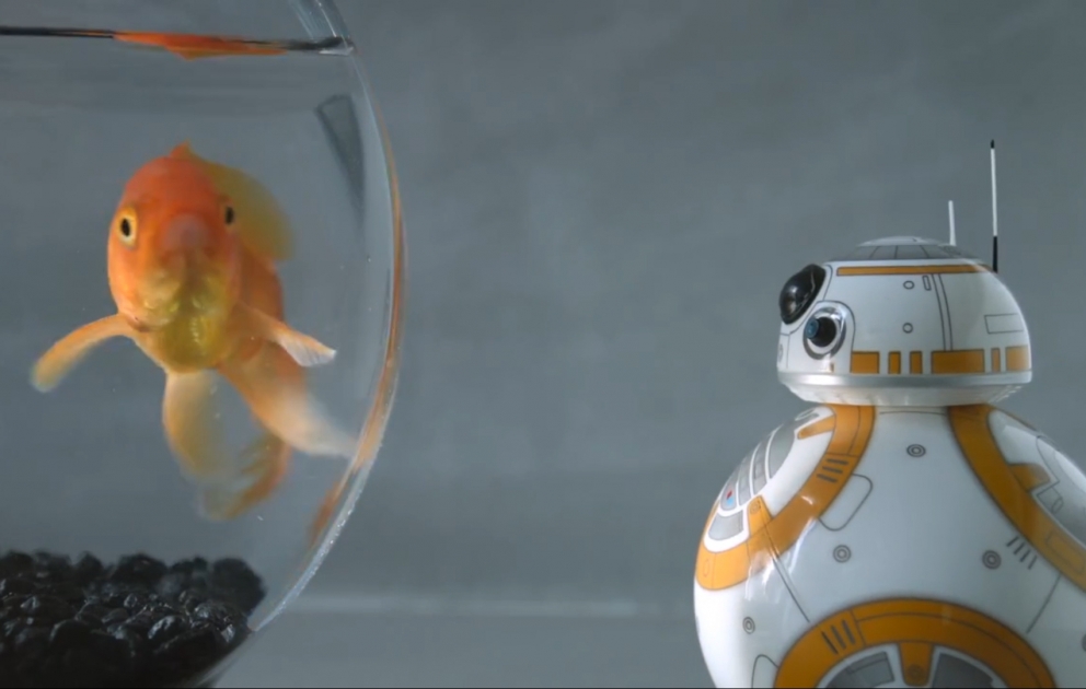 Le droïde BB-8 de Star Wars