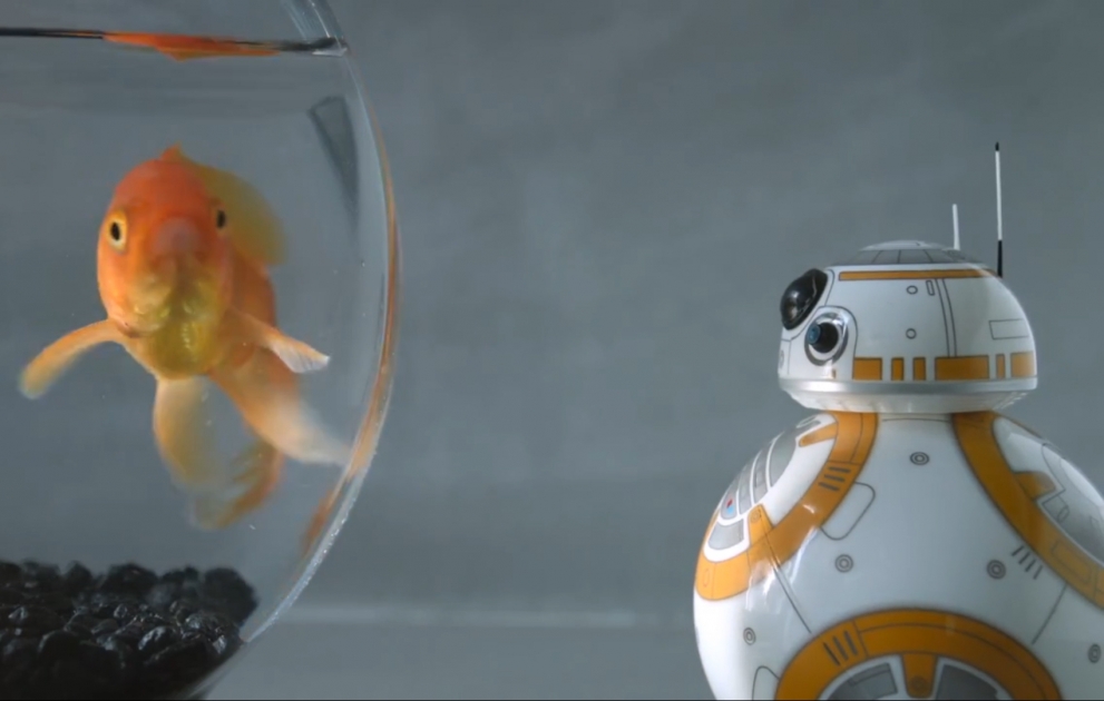 Droid BB-8 aus dem Sternenkrieg