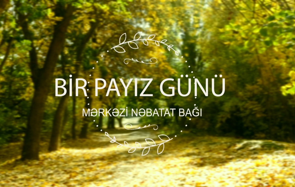 Mərkəzi Nəbatat Bağında bir payız günü