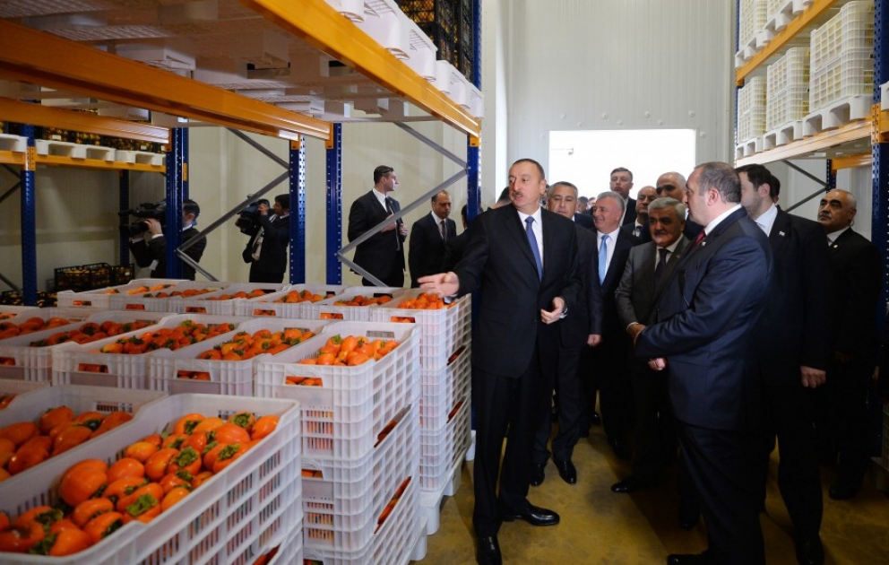 Präsidenten von Aserbaidschan und Georgien besuchen ein Kühlhaus in Marneuli