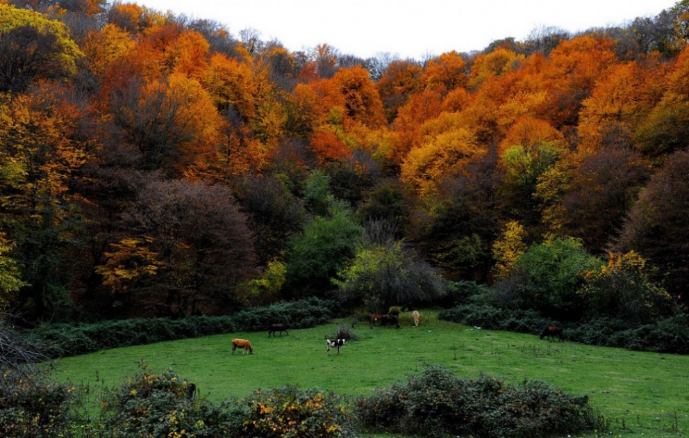 Herbst von Ismayili im Fotoobjektiv
