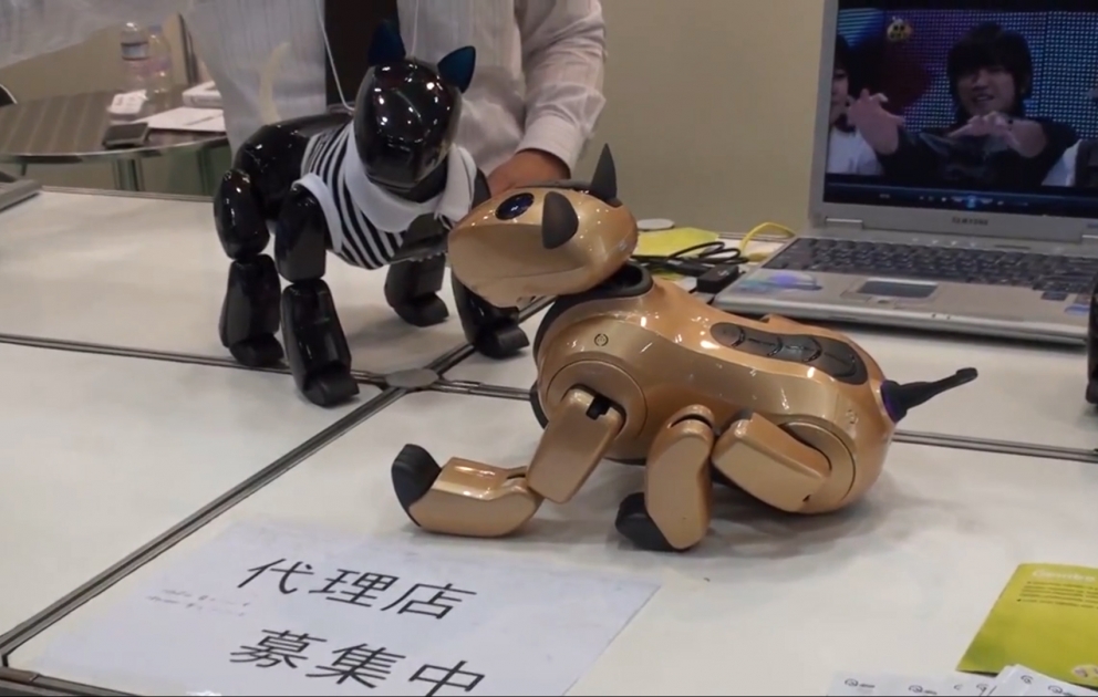 Yaponiyada beynəlxalq robotlar sərgisi açılıb