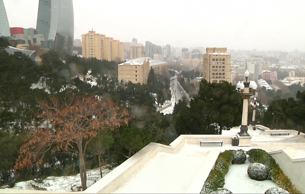 Snowy Baku