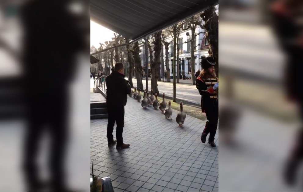 Sevimli parad  "YouTube"da ən çox izlənən video