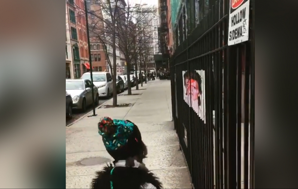 Bowie street art