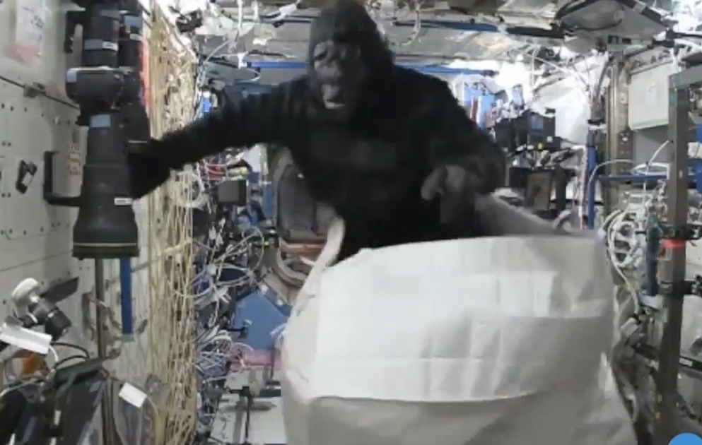 Gorilla' chases astronauts aboard space station