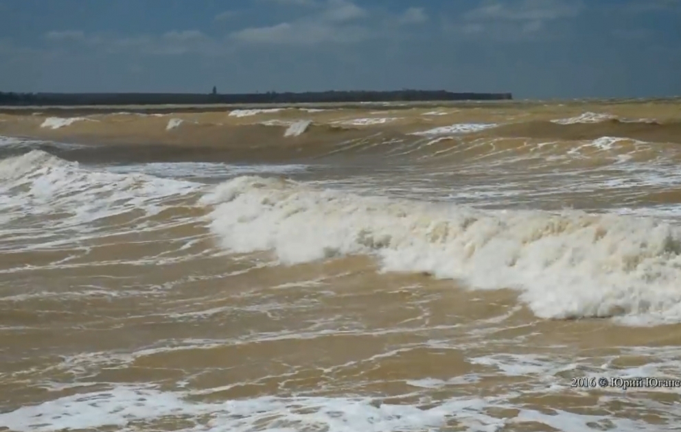 В Крыму Черное море стало желтым