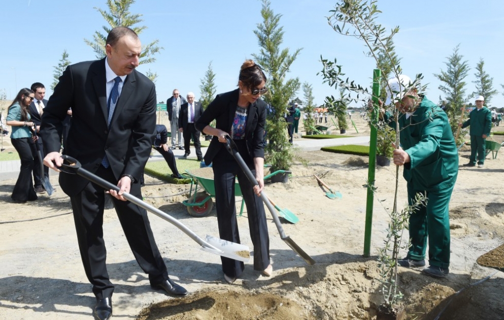 Präsident Ilham Aliyev nimmt an der Aktion für Baumpflanzung gewidmet dem Geburtstag von Nationalleader Heydar Aliyev teil