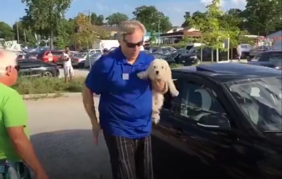 Saving a dog that's trapped inside a hot car