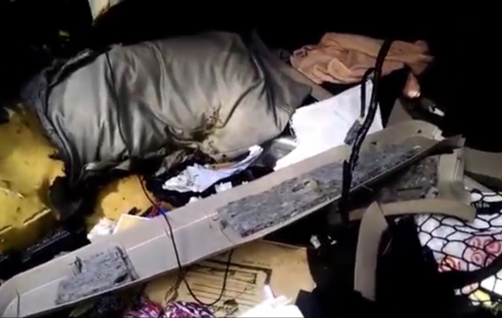Free bear stuck in сar