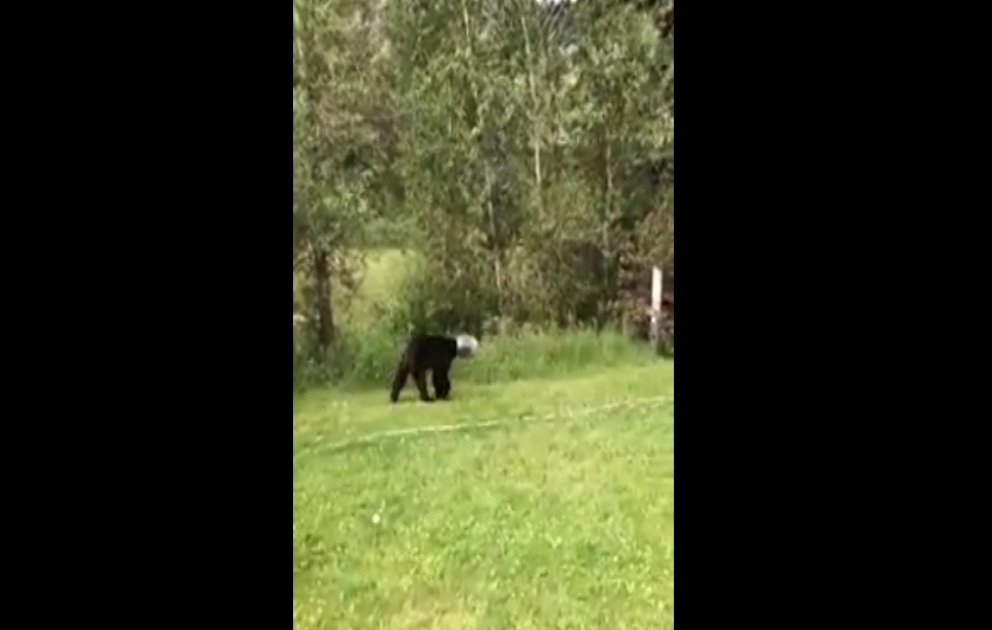 Ayının başından bankanı belə çıxardılar
