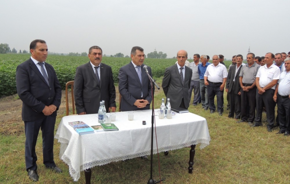 Bərdədə respublika tarla müşavirəsi keçirilib