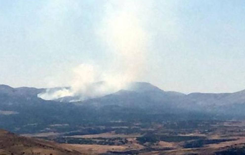 PKK hücumları nəticəsində Türkiyə ordusunun 5 hərbçisi şəhid olub