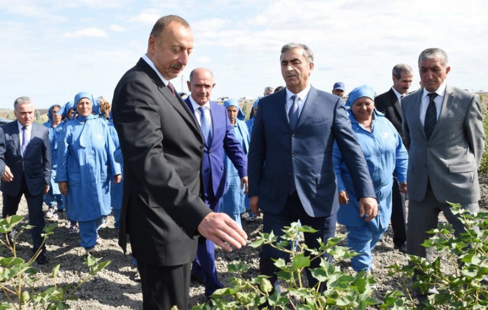 Salyan: le président Ilham Aliyev visite les champs de coton