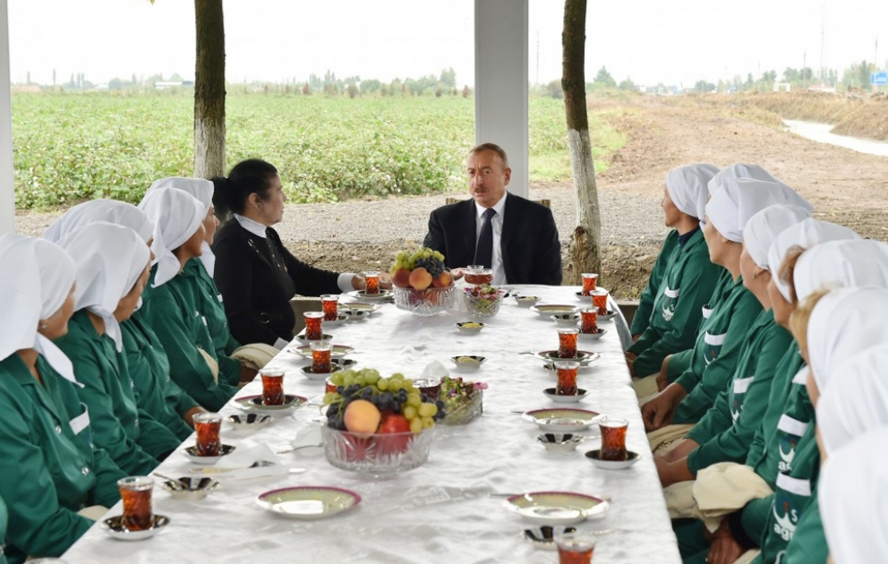 Le président de la République visite les champs de coton à Sabirabad