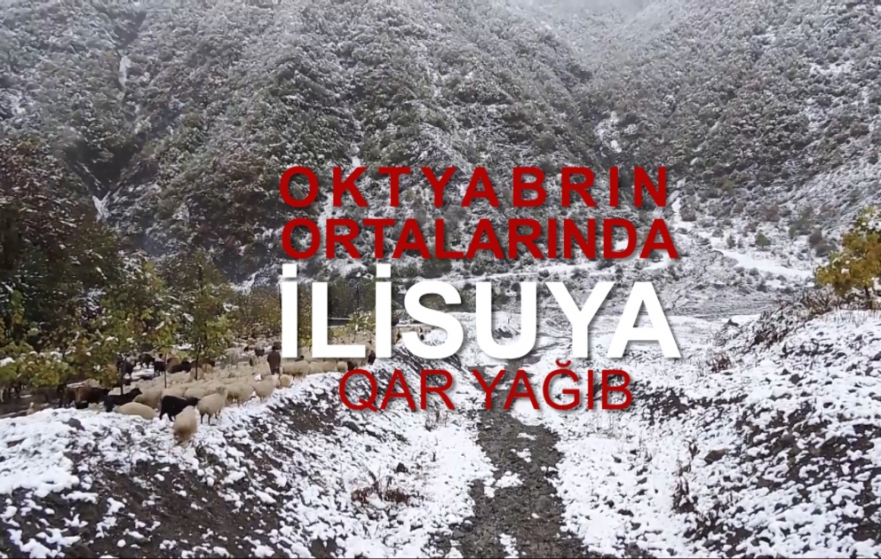 İlisuya ilk qar yağıb