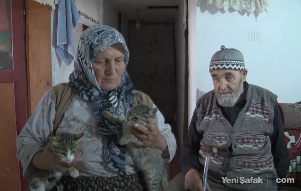 Yaşlı nənə ilə baba evlərində 15 pişik bəsləyir