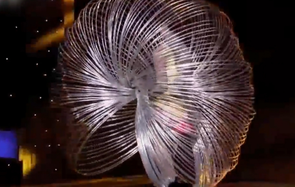 Chinese girl twirls 305 hula hoops at once
