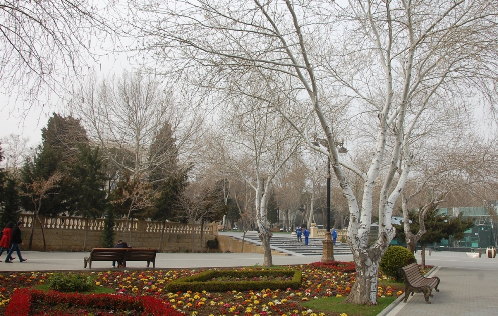 Azərbaycanda yağmursuz hava şəraiti davam edəcək