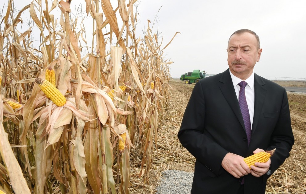 Beylagan: visite d’une exploitation céréalière privée