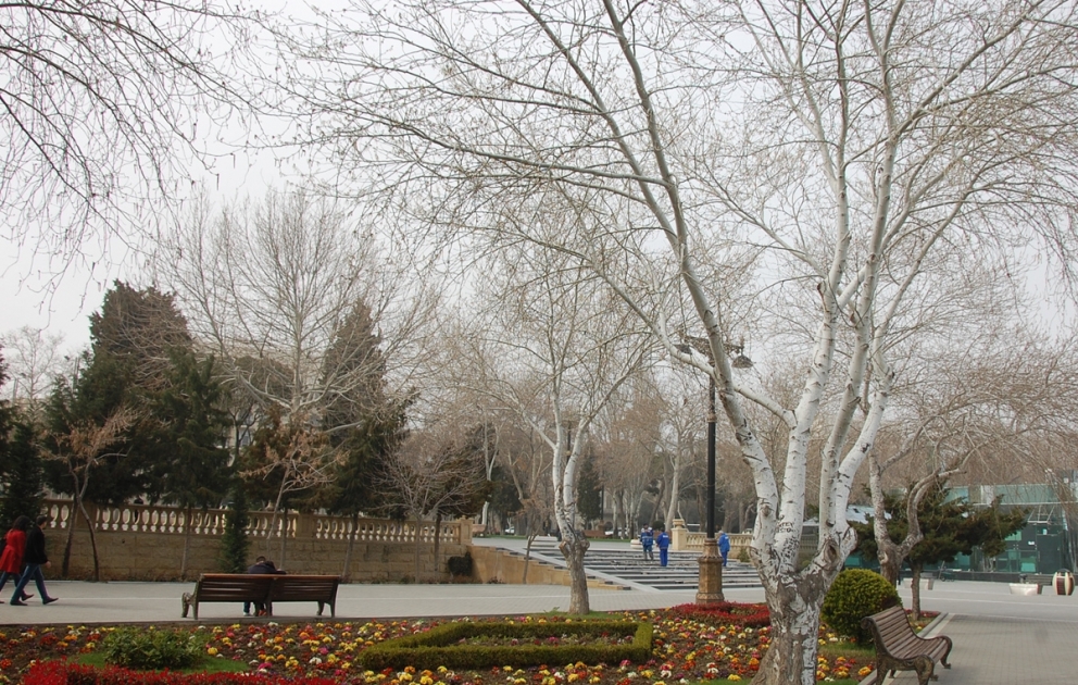 İstirahət günü hava yağmursuz olacaq