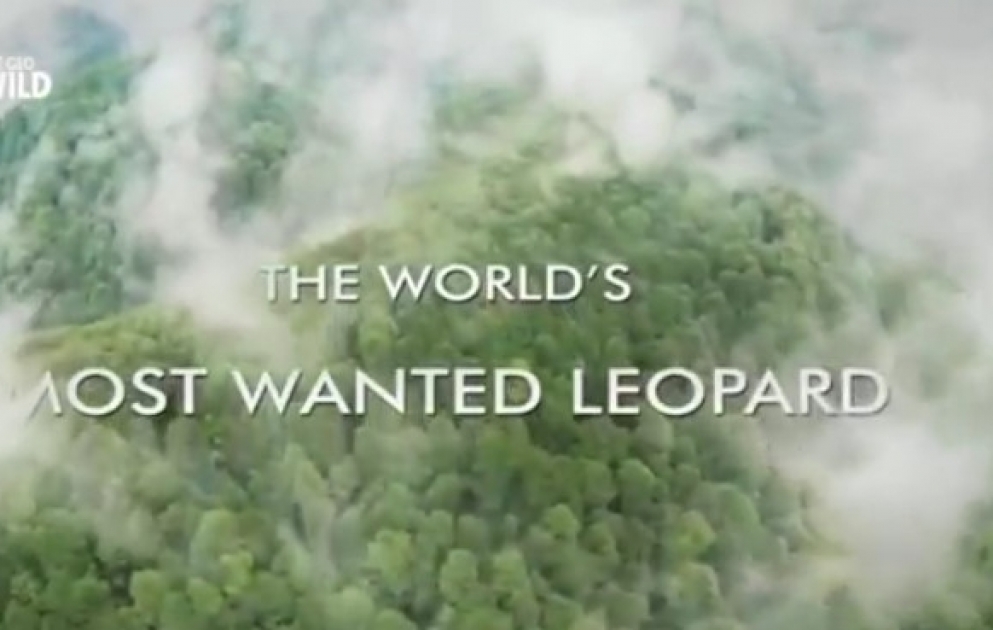 Nat Geo Wild: Qafqaz bəbirinin qorunması
üçün ciddi addımlar atılıb