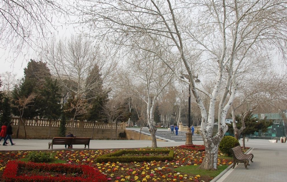 İstirahət günü Bakıda arabir yağış yağacaq