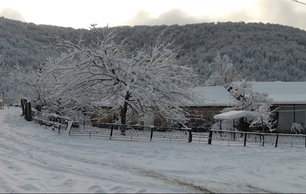 Snowy views of Zagatala ​